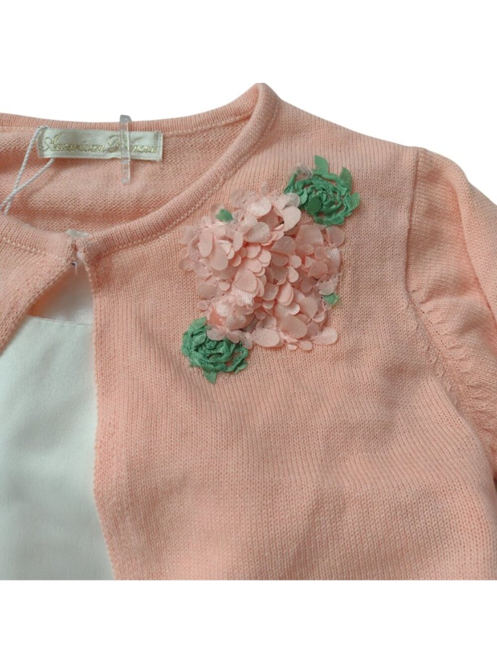 American Princess 2 Piece Dress 4 NEW 3-D Floral Pretty Flower Girl Church Dress - Picture 4 of 11